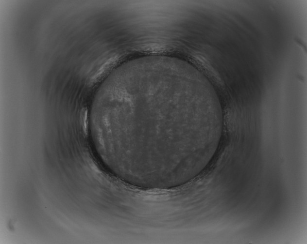 X0000103220024200809111518