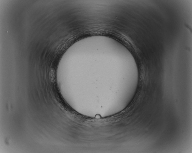 X0000103220025200809111518