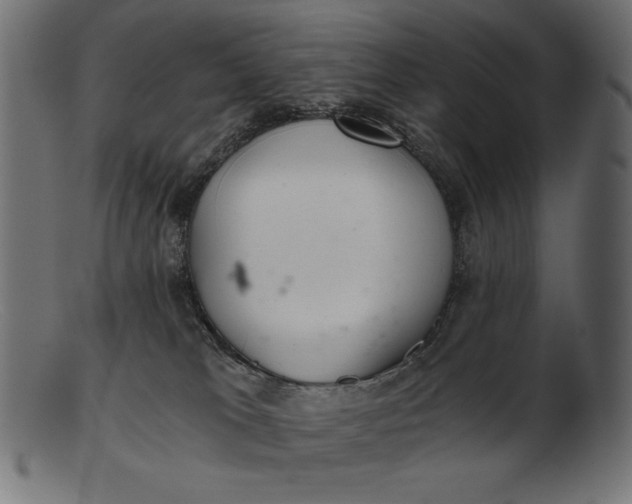 X0000103220037200809111518