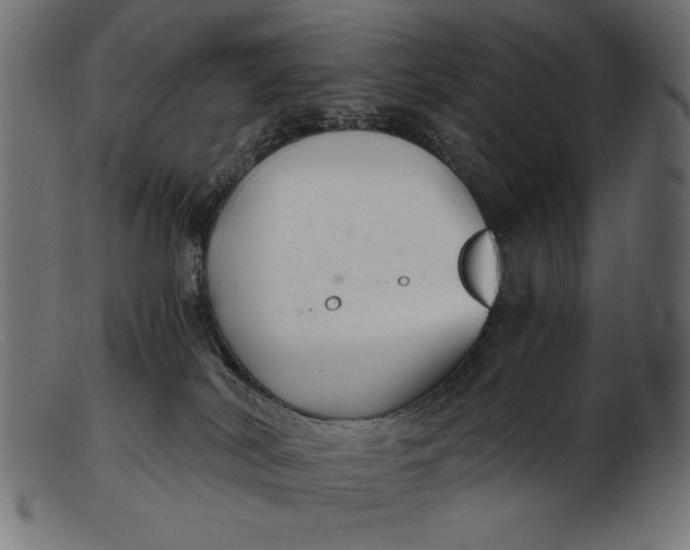 X0000103220038200809111518