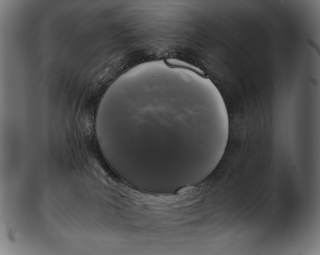 X0000103220039200809111517