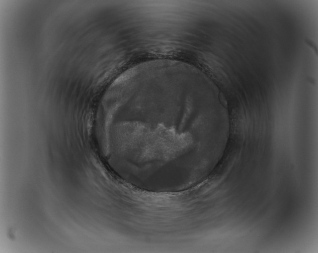 X0000103220040200809111517