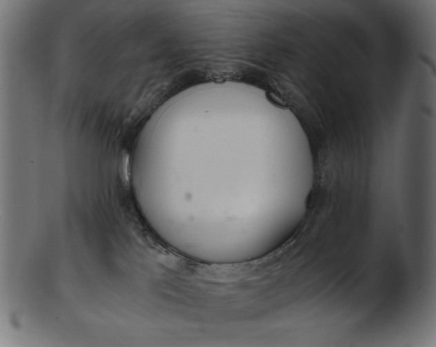 X0000103220041200809111517