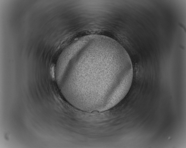 X0000103220042200809111517