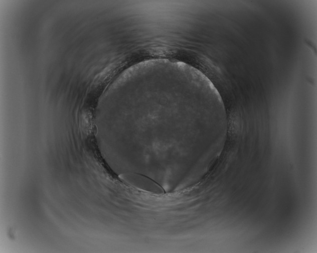 X0000103220043200809111517