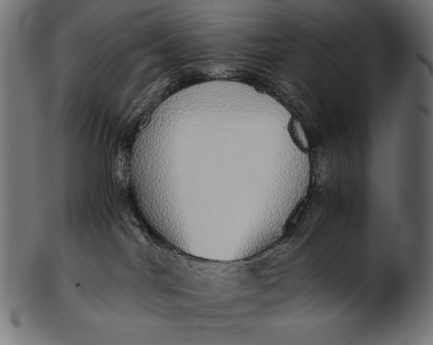 X0000103220044200809111517