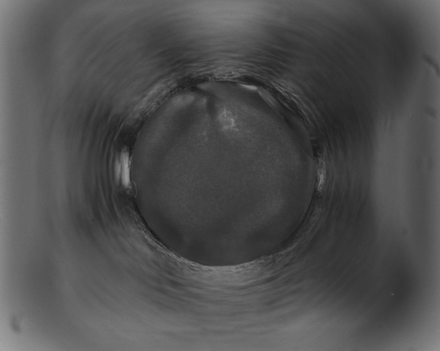 X0000103220046200809111517