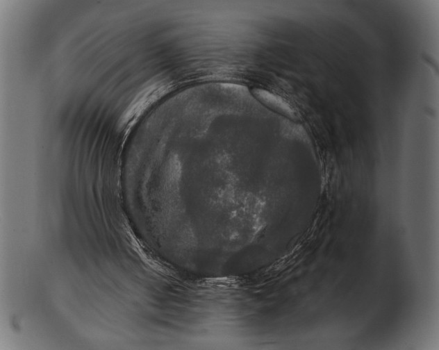 X0000103220050200809111517