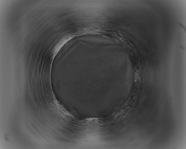 X0000103220052200809111517