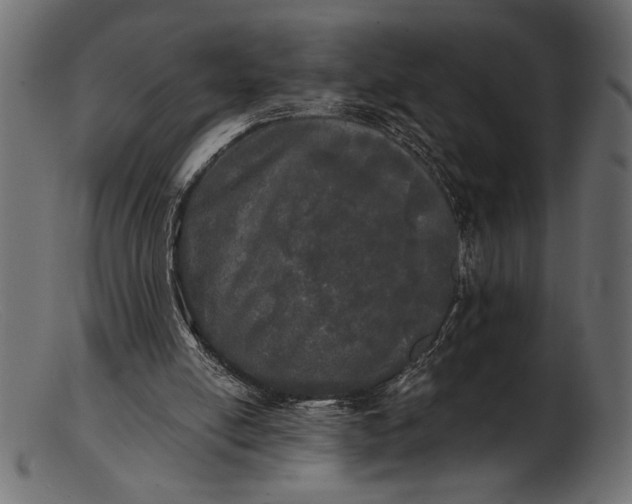 X0000103220054200809111517