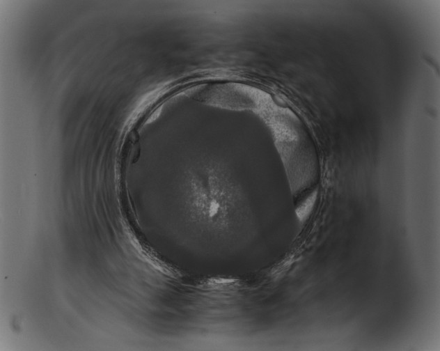 X0000103220055200809111517