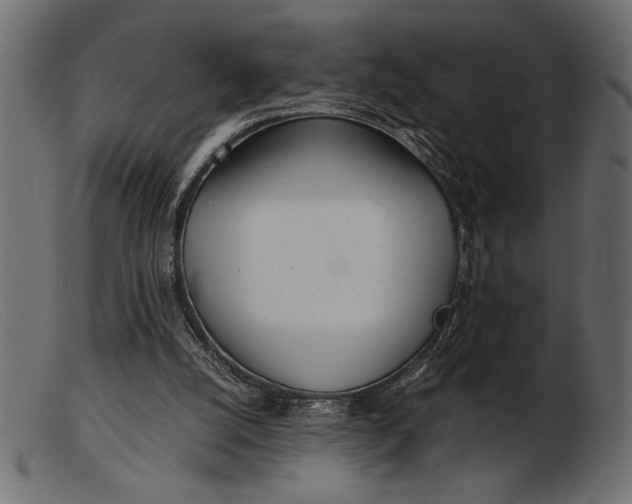 X0000103220056200809111517