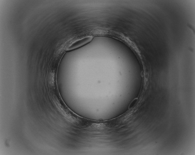 X0000103220057200809111517