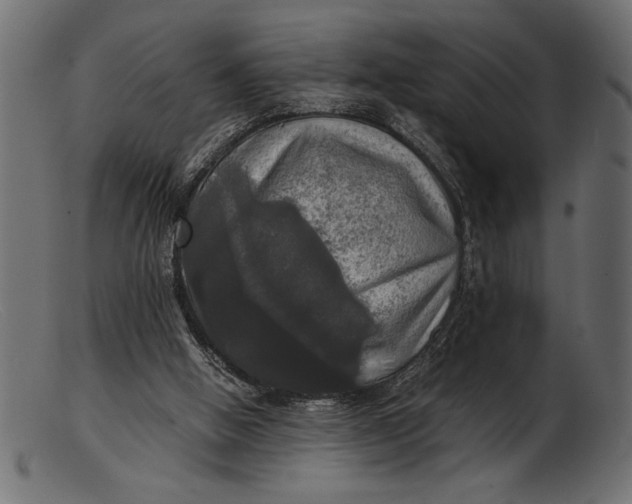 X0000103220058200809111517