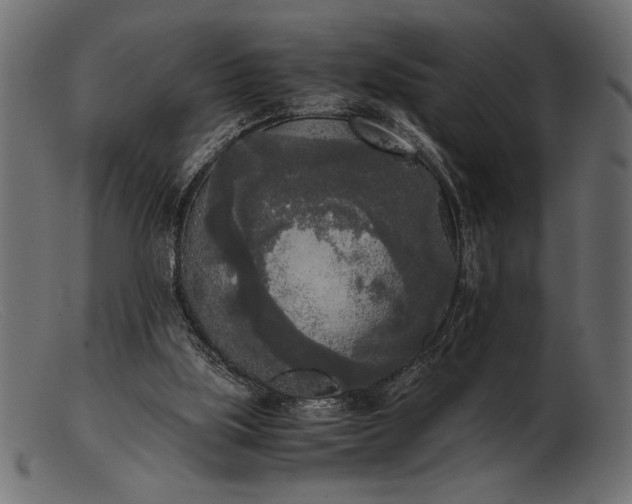 X0000103220059200809111517