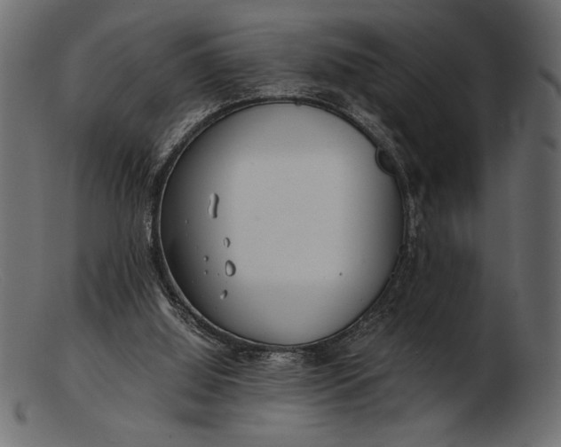 X0000103220060200809111517