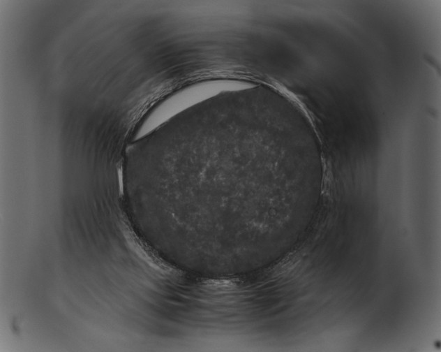 X0000103220061200809111517