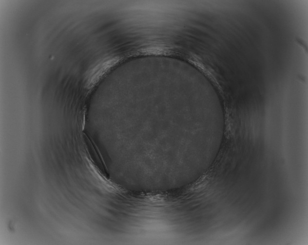 X0000103220062200809111517