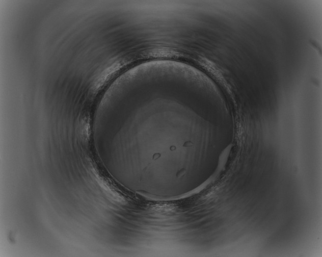 X0000103220063200809111517