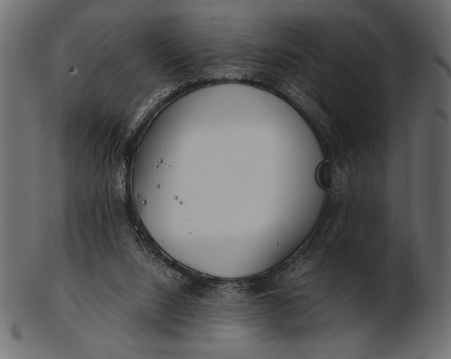 X0000103220064200809111517