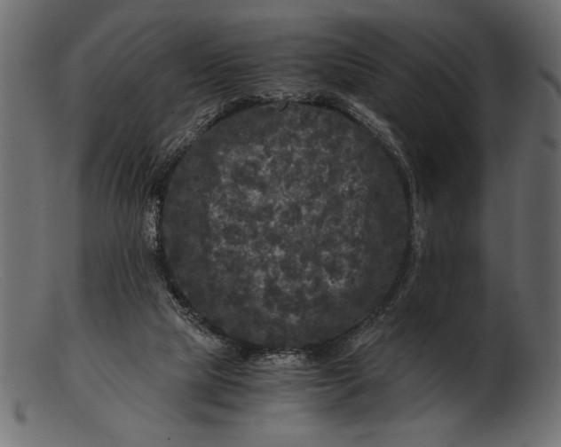 X0000103220065200809111517