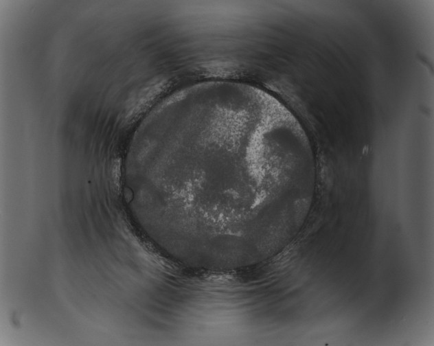 X0000103220066200809111517