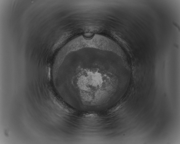 X0000103220067200809111517