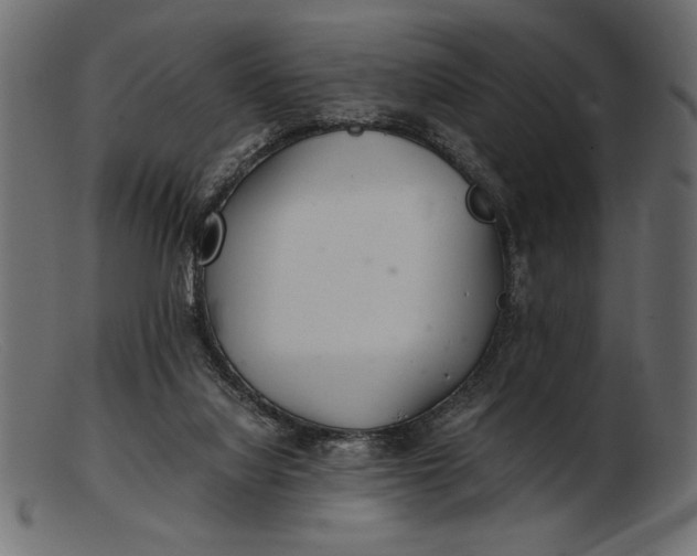 X0000103220068200809111517