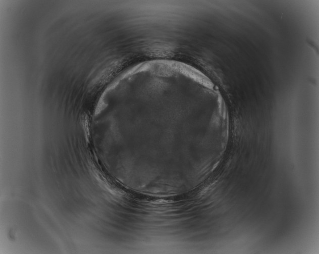 X0000103220069200809111517