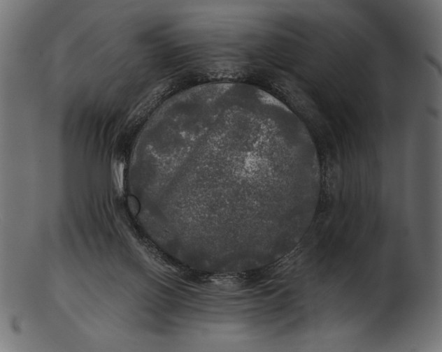 X0000103220070200809111517