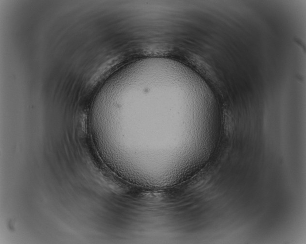 X0000103220071200809111517