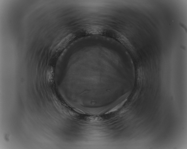 X0000103220073200809111517