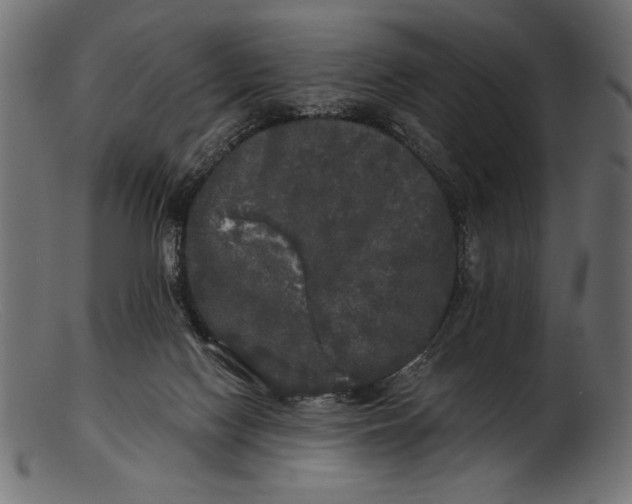 X0000103220074200809111517