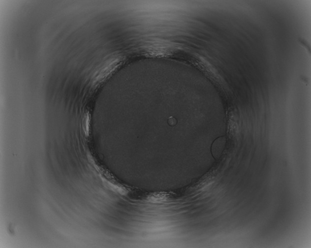 X0000103220076200809111517