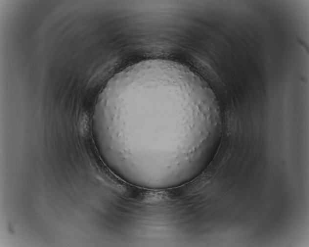 X0000103220077200809111517