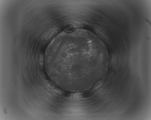 X0000103220078200809111517