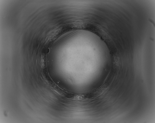 X0000103220080200809111517