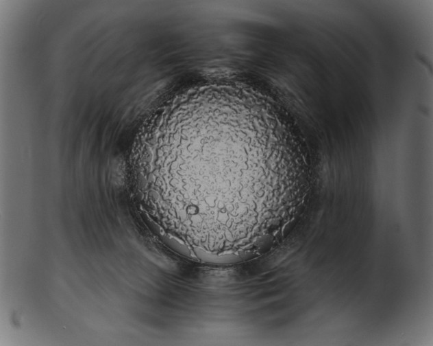 X0000103220081200809111517