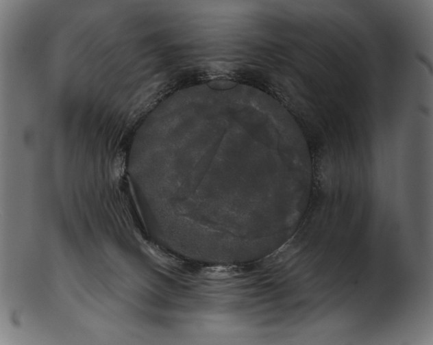 X0000103220082200809111517