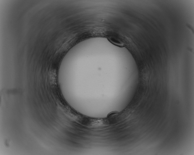 X0000103220083200809111517