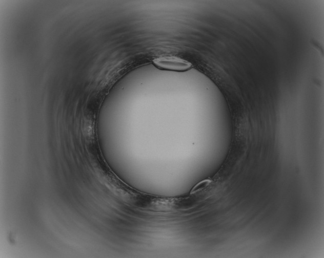 X0000103220084200809111517