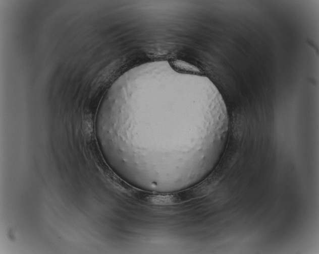 X0000103220085200809111517