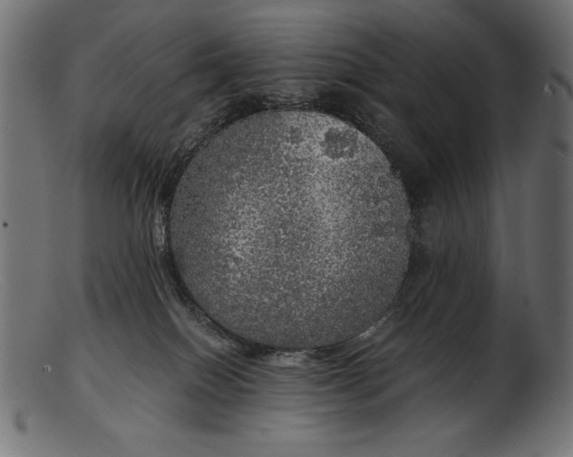 X0000103220086200809111517