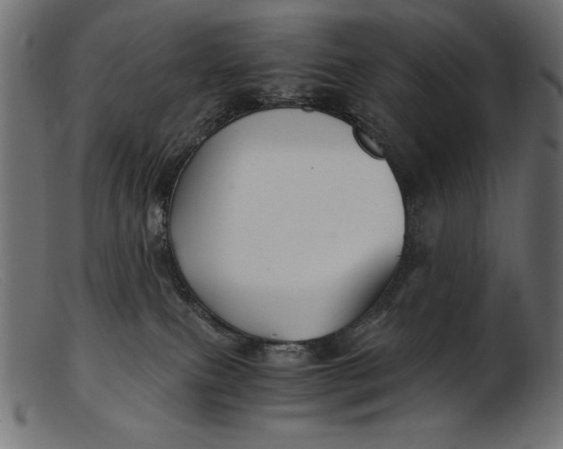 X0000103220087200809111517