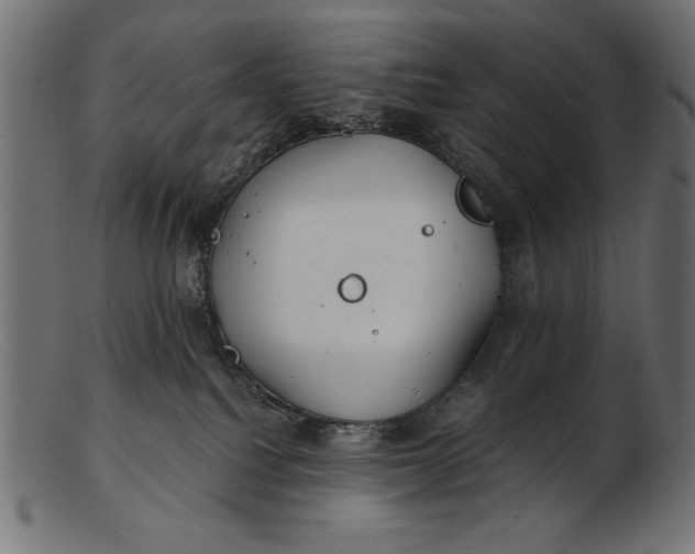 X0000103220088200809111517