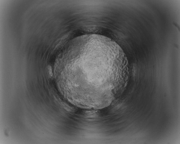 X0000103220089200809111517