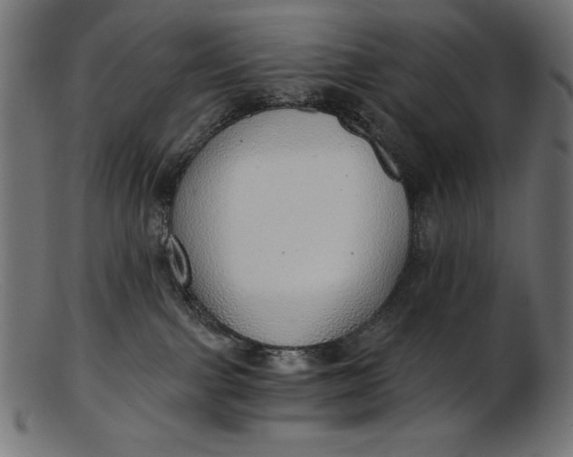 X0000103220091200809111517