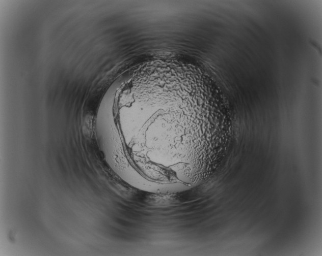 X0000103220093200809111517