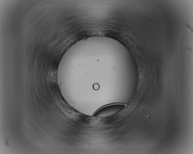 X0000103220096200809111517