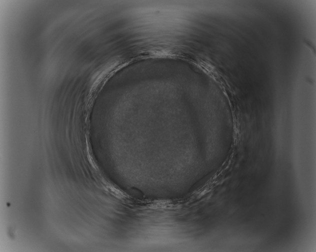 X0000103220097200809111517